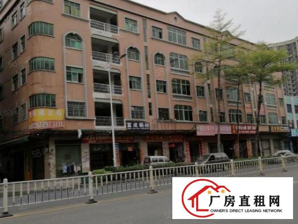  原房东商业红本房源出租可做医院商场教育培训机构各行业卖场