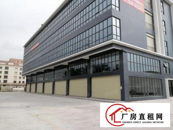  原房东商业红本房源出租可做医院商场教育培训机构各行业卖场