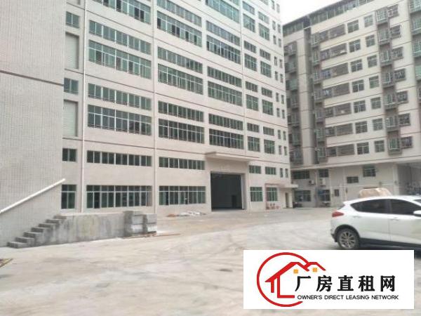  大朗重型工业红本厂房出租原房东直租可办环评大小分租