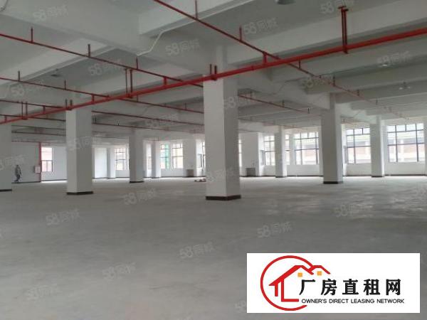  大朗重型工业红本厂房出租原房东直租可办环评大小分租