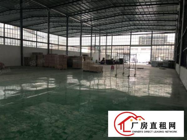  大朗原房东玻璃外墙钢构厂房，形象好滴水9米交通方便工业用地