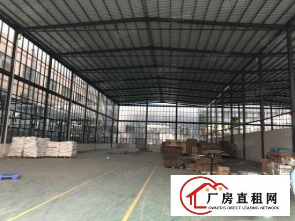  大朗原房东玻璃外墙钢构厂房，形象好滴水9米交通方便工业用地