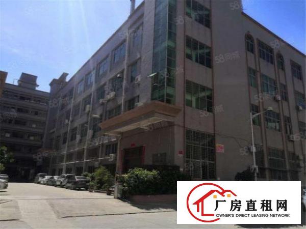  急租！大朗洋坑塘原房东一楼带航车1500方，高度6米刷地坪漆