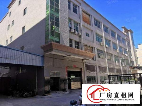  急租！大朗洋坑塘原房东一楼带航车1500方，高度6米刷地坪漆