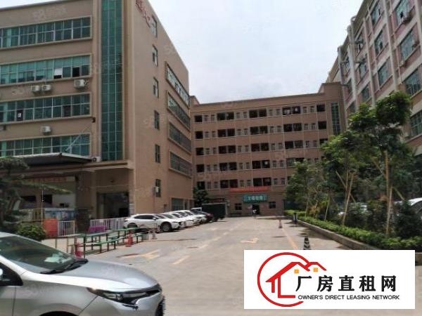  大朗厂房1000平方出租，格局好，水电齐全，可办环评管理完善
