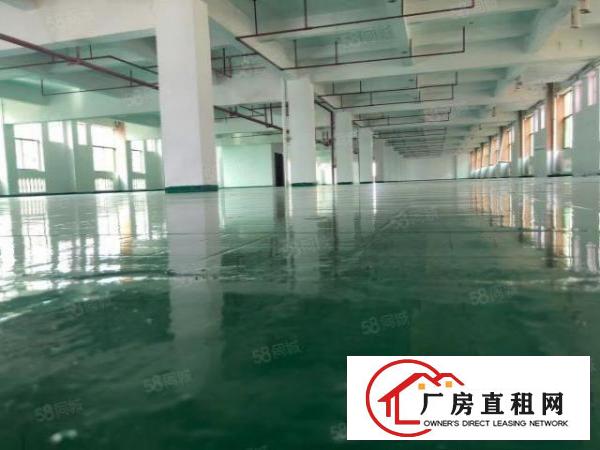  大朗花园式厂房，全新地坪漆，2200平每层，可分租价格超低