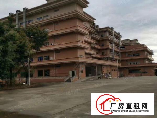  大朗花园式厂房，全新地坪漆，2200平每层，可分租价格超低