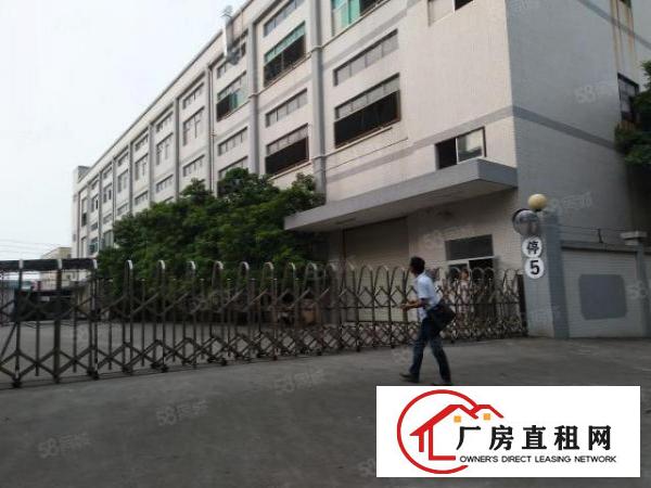  大朗分租二楼现成水电线路一层800平方米