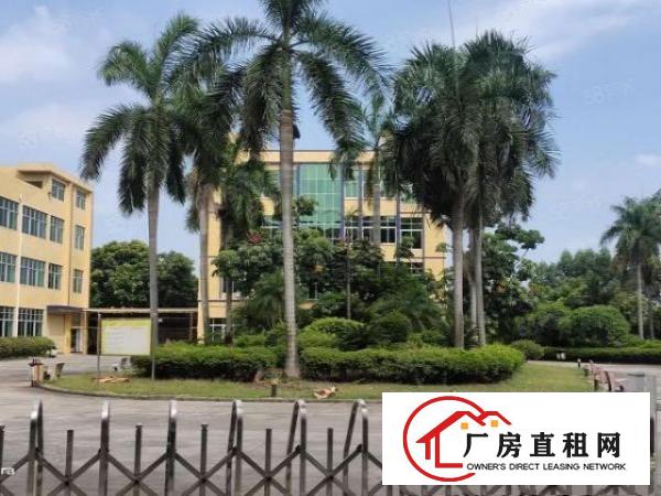  大朗独门独院两层无尘车间精装办公楼水电齐全可过户证件齐全