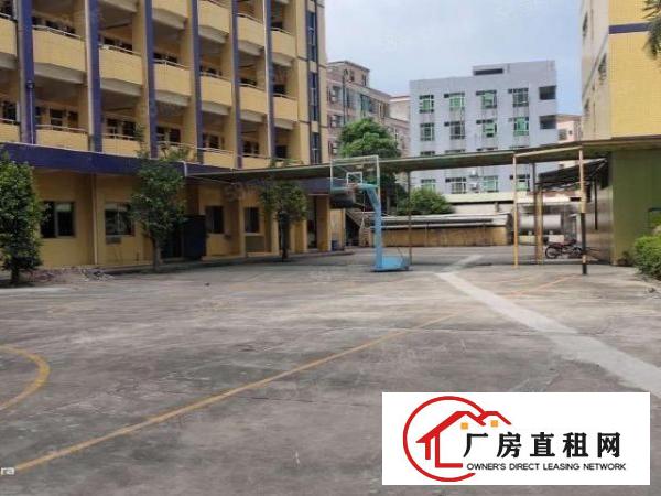  大朗独门独院两层无尘车间精装办公楼水电齐全可过户证件齐全