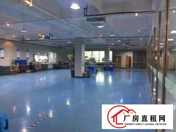  大朗独门独院两层无尘车间精装办公楼水电齐全可过户证件齐全