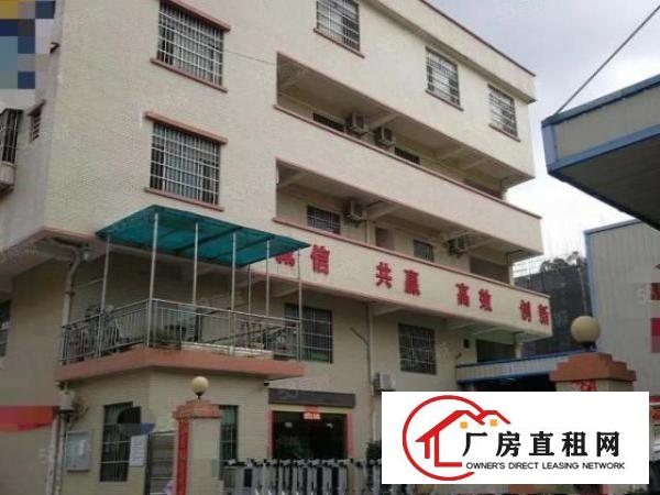  大朗沙步工业区新出原房东单一层1200平，宿舍加办公600