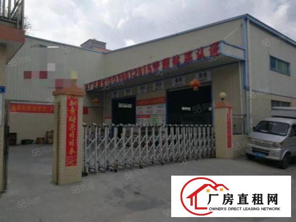  大朗沙步工业区新出原房东单一层1200平，宿舍加办公600
