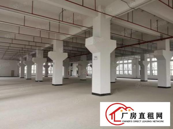  大朗原房东分租一楼及楼上厂房面积1000平层高6米可分租