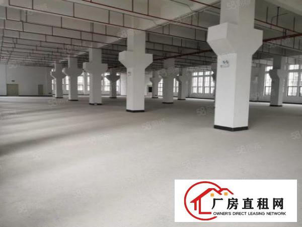  大朗原房东分租一楼及楼上厂房面积1000平层高6米可分租