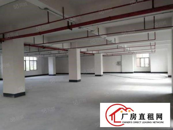  一手房东急租大朗竹山1800平方独院两层厂房形象非常漂亮
