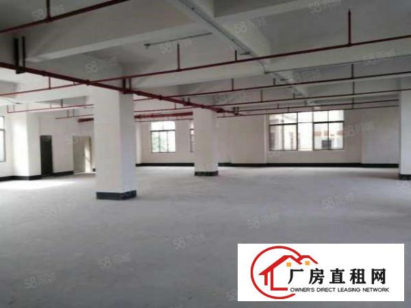  一手房东急租大朗竹山1800平方独院两层厂房形象非常漂亮