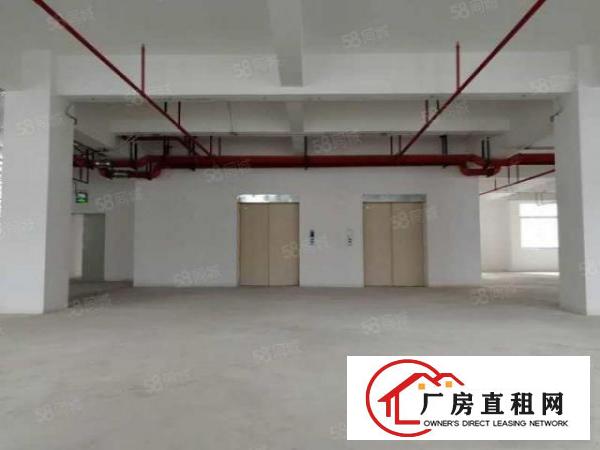  大朗原房东重型工业红本厂房1800平方出租可办环评可以分租