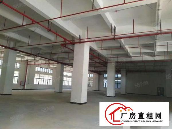  大朗原房东重型工业红本厂房1800平方出租可办环评可以分租