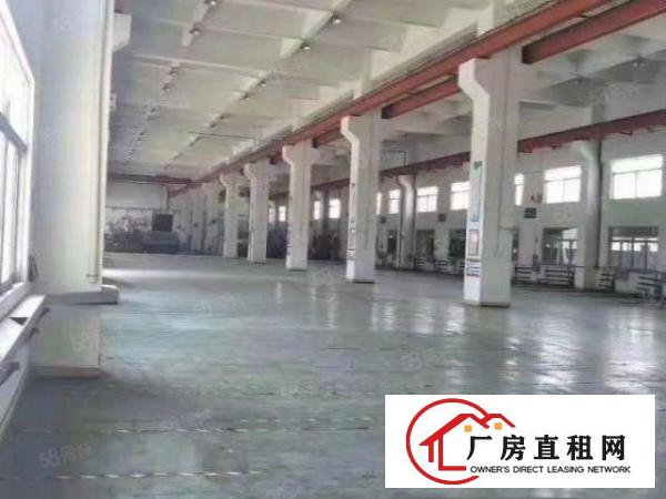  大朗镇原房东独院标准厂房