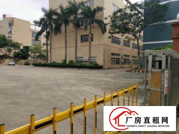  大朗镇原房东独院标准厂房