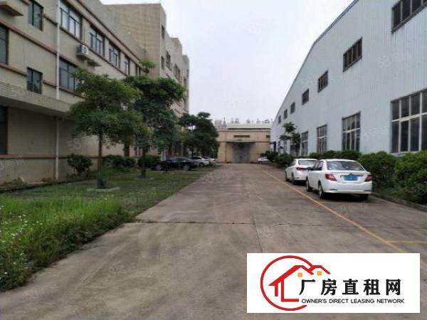  东莞大朗洋坑塘一楼11000平方标准钢构出租可分租可办环评