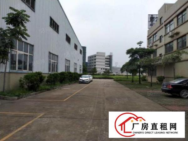  东莞大朗洋坑塘一楼11000平方标准钢构出租可分租可办环评