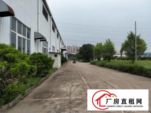  东莞大朗洋坑塘一楼11000平方标准钢构出租可分租可办环评