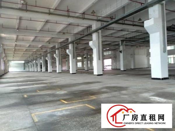  东莞大朗洋乌原房东厂房可办环评一楼3000平方出租可以分租