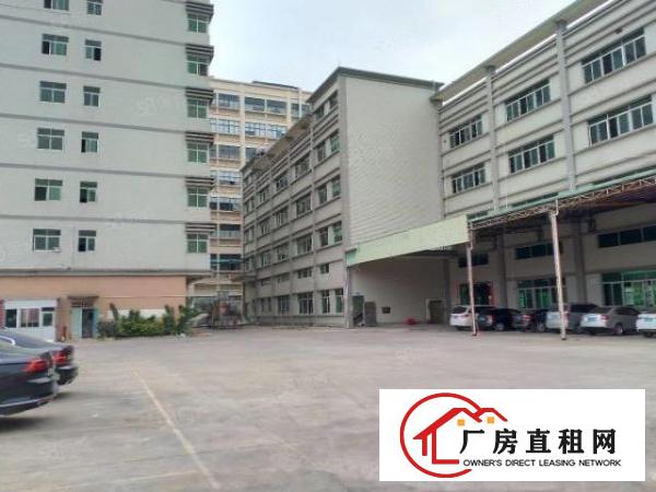 东莞大朗洋乌原房东厂房可办环评一楼3000平方出租可以分租