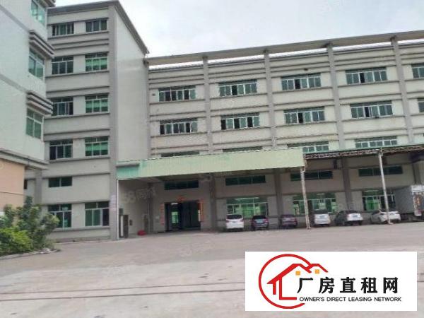  东莞大朗洋乌原房东厂房可办环评一楼3000平方出租可以分租