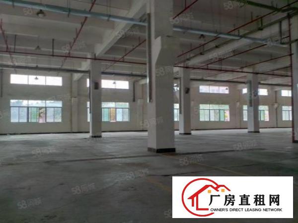  东莞大朗洋乌原房东厂房可办环评一楼3000平方出租可以分租