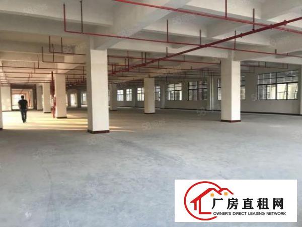  东莞大朗镇洋乌村独门独院原房东厂房出租1200请可分租