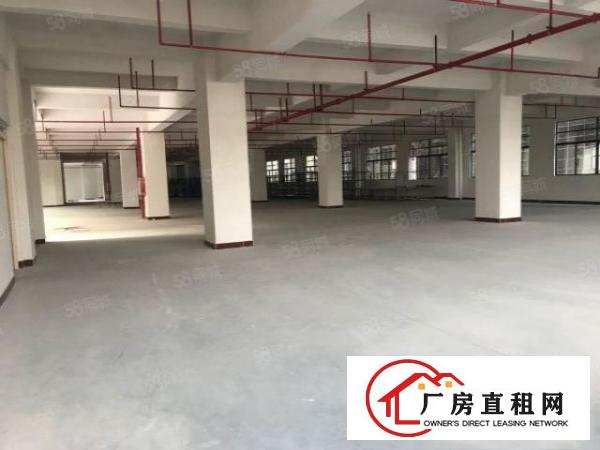  东莞大朗镇洋乌村独门独院原房东厂房出租1200请可分租