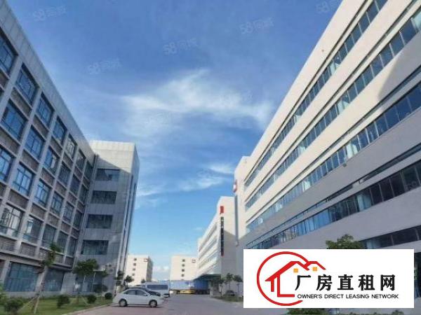  全新红本标准厂房，单一层，大朗临松山湖1350平起分，无税收