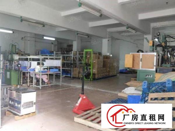  个人厂房300平方租3500元月在大朗求富路交通方便