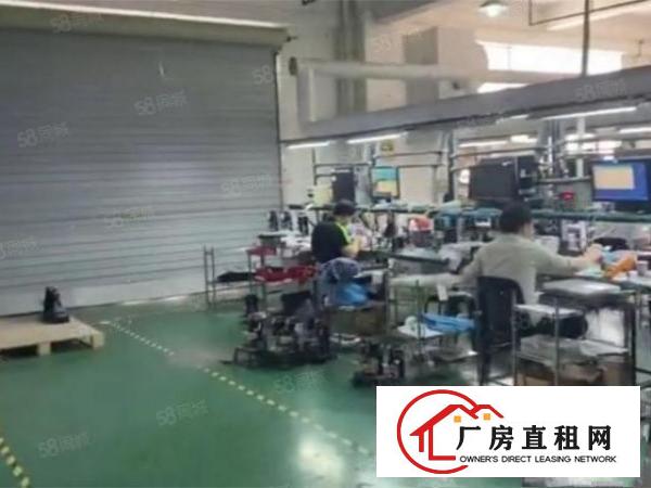  单价13元新出洋坑塘标准厂房1680带办公室5吨电梯