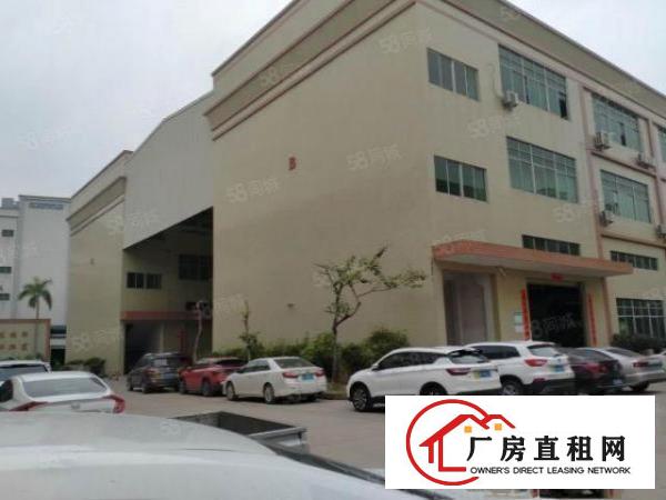  东莞大朗新马莲一楼1600平方厂房出租大小可分租