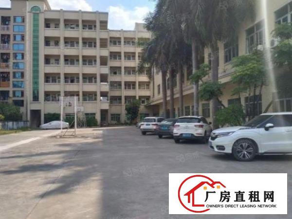  东莞大朗新马莲一楼1600平方厂房出租大小可分租