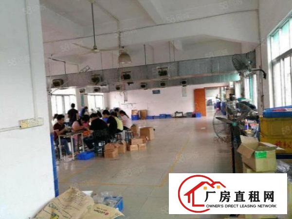  9元带装修大朗求富路独栋一楼400平方厂房入驻即生产