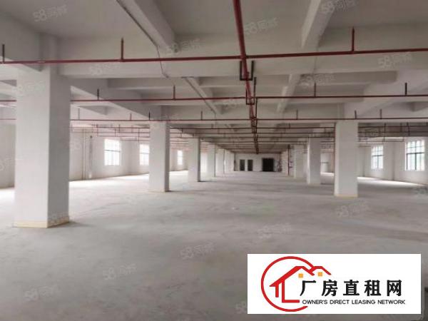  大朗洋乌原房东1500平方厂房出租可办环评主干道边上