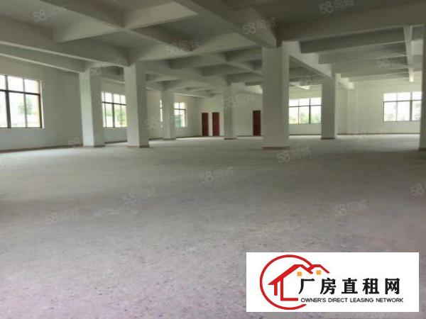  大朗镇水口工业区独院分租6米高一楼480平