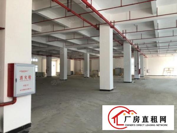  大朗大角岭工业区新空出标准厂房二楼980平低价急租