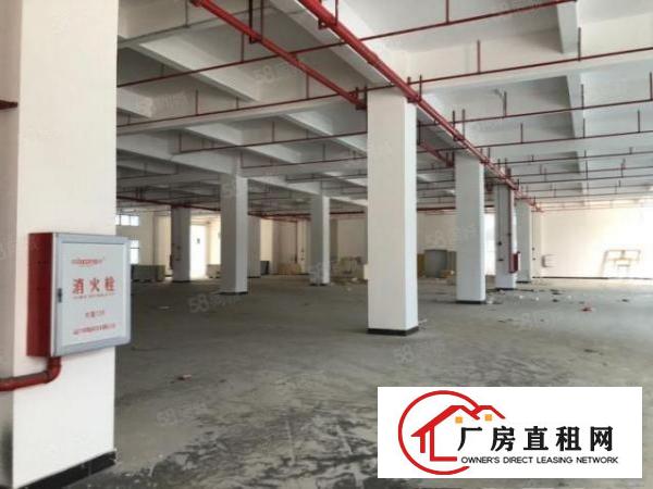  大朗大角岭工业区新空出标准厂房二楼980平低价急租