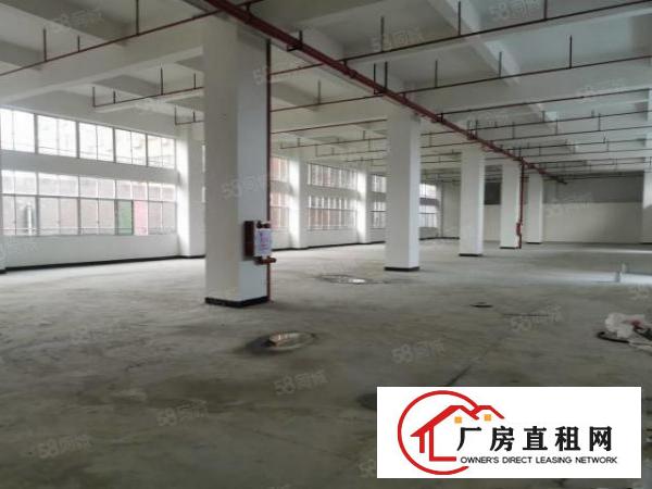  大朗指定环评区域原房东独院厂房出租