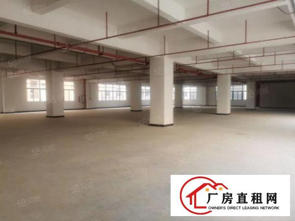  大朗指定环评区域原房东独院厂房出租