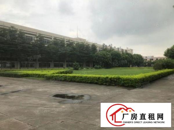  大朗指定环评区域原房东独院厂房出租