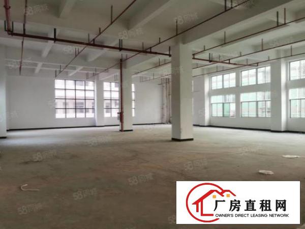  大朗指定环评区域原房东独院厂房出租