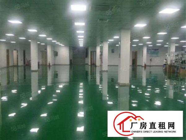  急租大朗标准工业区无尘车间3500方，九成新，办公无尘齐全