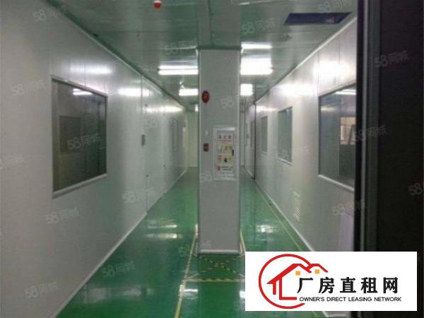  急租大朗标准工业区无尘车间3500方，九成新，办公无尘齐全